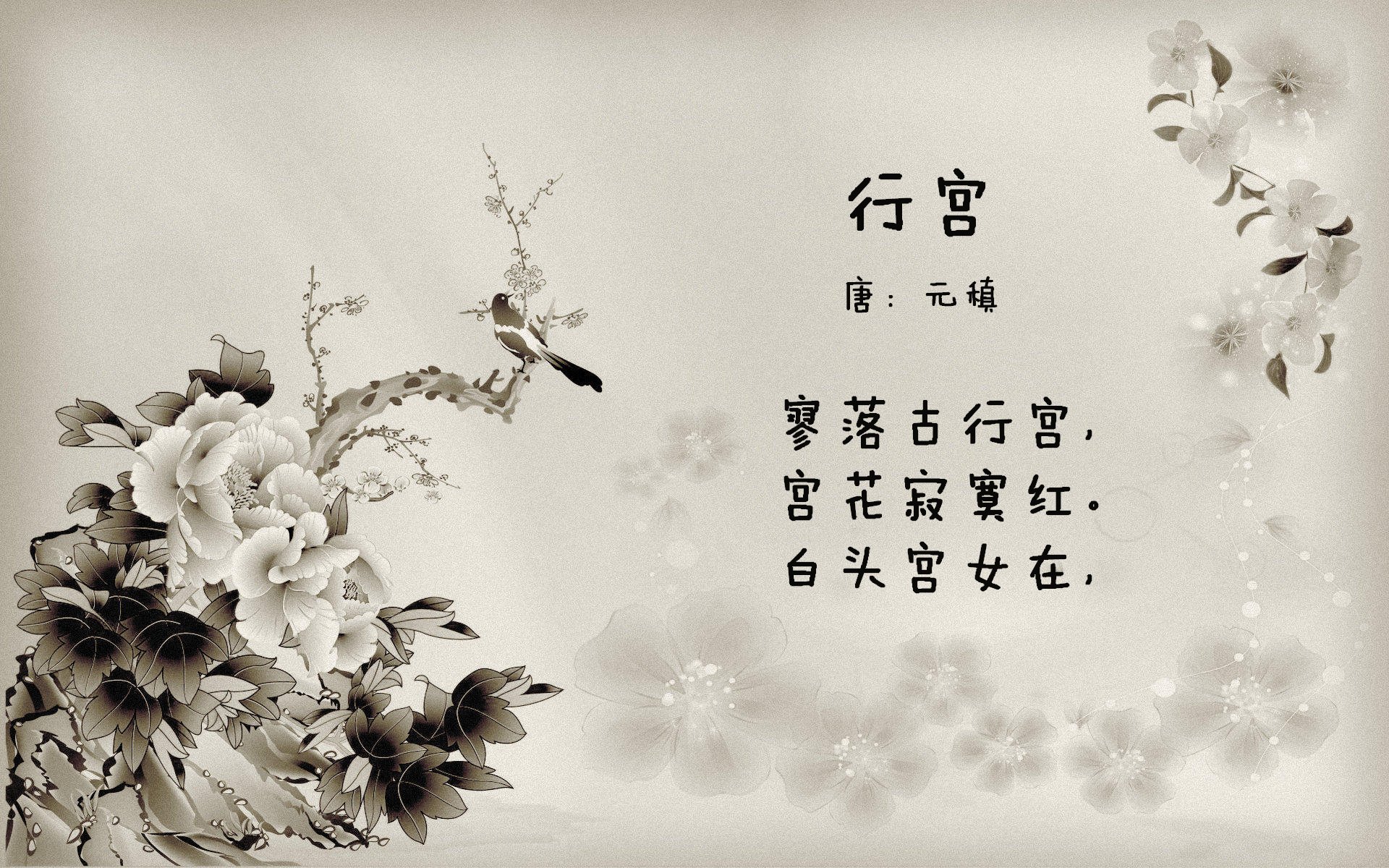 “瞬间转折，毫秒之间！高新区全民健身馆壁球赛震撼开启”