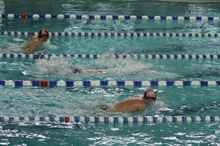 爱游戏中国官方网站平台-中国游泳运动员世锦赛接力项目表现抢眼，中国游泳接力夺金