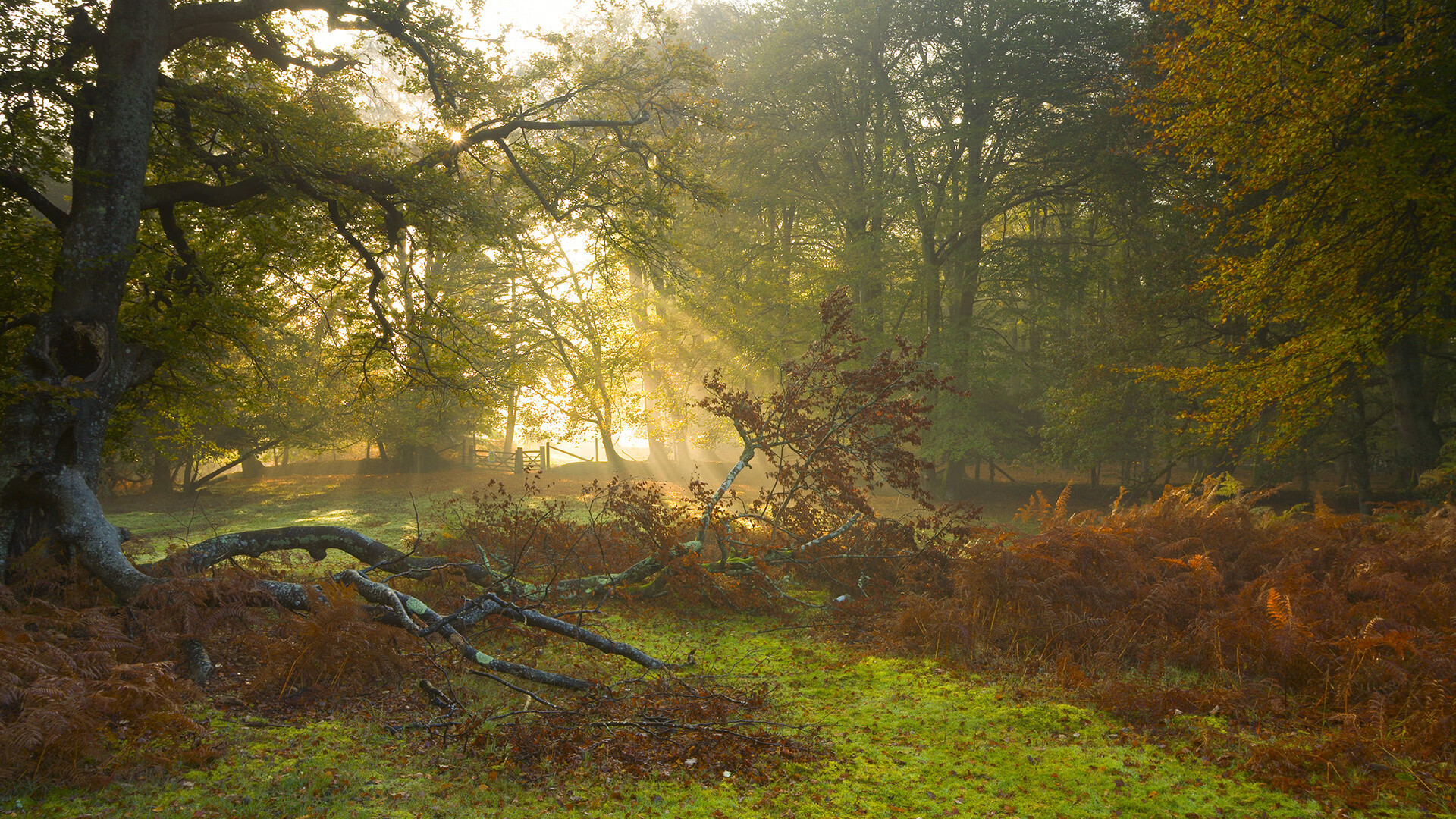 爱游戏娱乐平台-中小学体育课外拓展项目受家长好评，拓展课家长评价