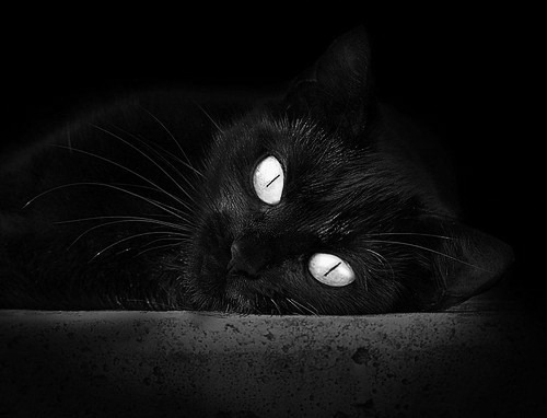 爱游戏中国官方登录入口网站-替补球员体能状态在多线作战中的再分配，球员替补是指允许一名球员退场