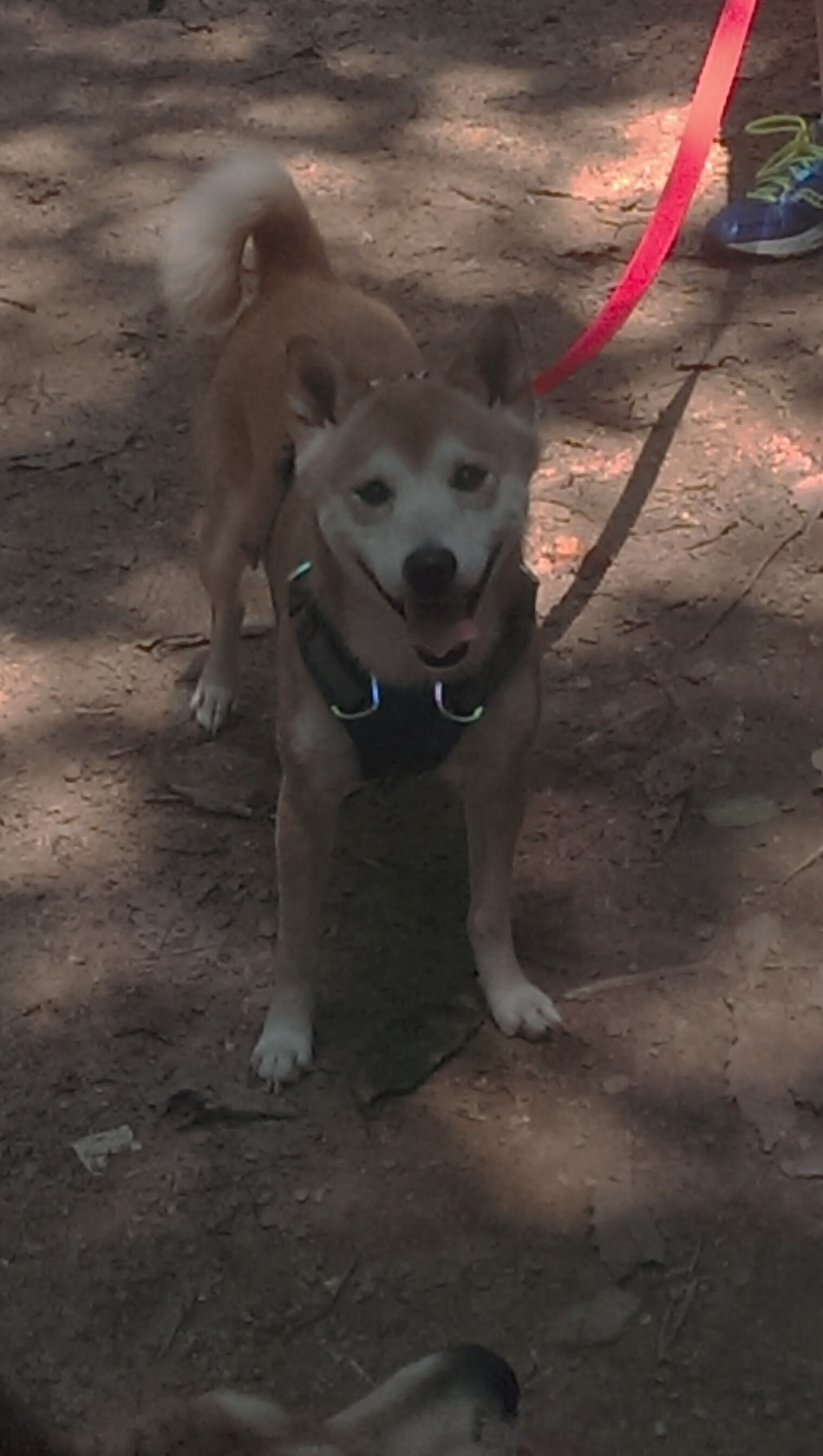 爱游戏娱乐网址-英雄联盟策略博弈成焦点战术准备比拼激烈，英雄联盟游戏技巧战略