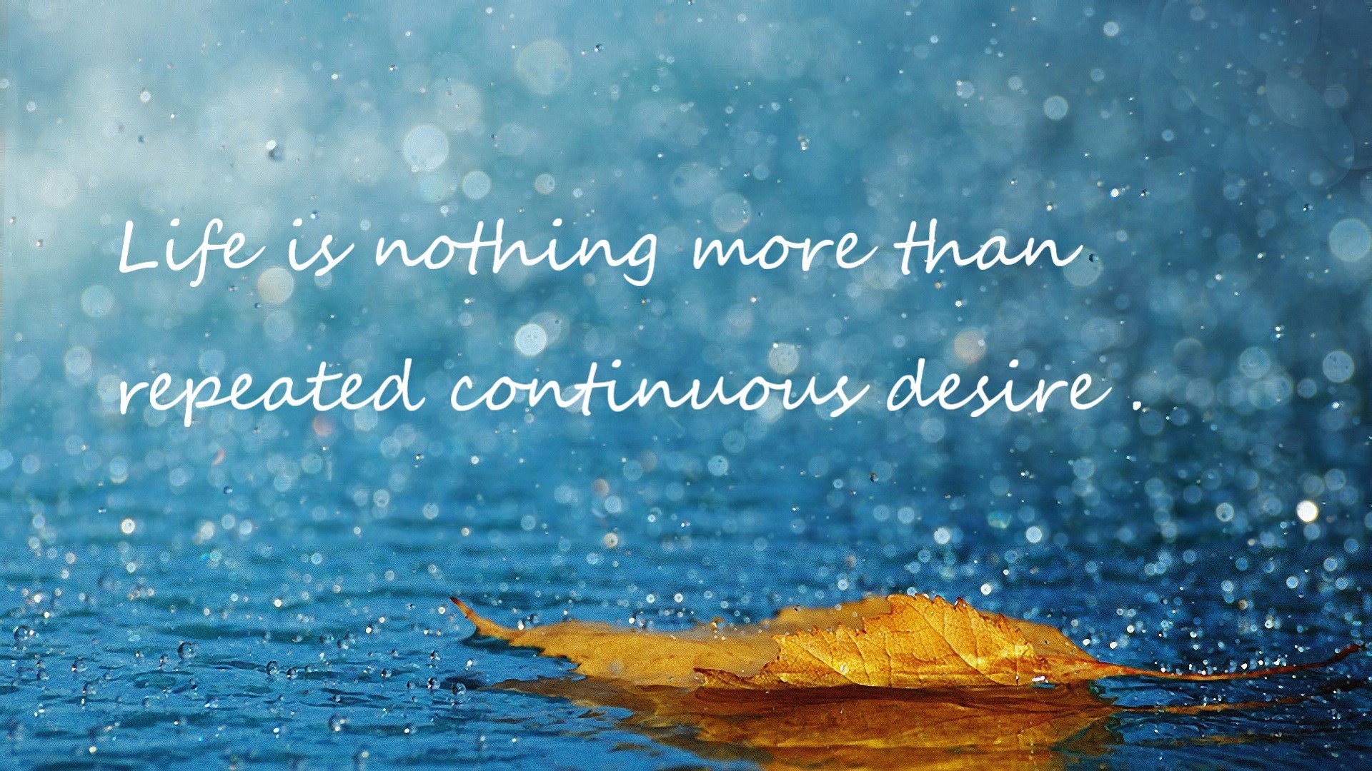 “帕布罗·马特拉:从球场到更高舞台,阿根廷美洲狮队的未来核心”