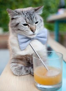 AYX体育-以足球为主题的城市IP品牌逐步建立，打造城市新名片，足球城市地理