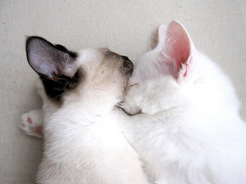 体育新闻中心上线运动员积分及排名查询入口，十大体育新闻评选