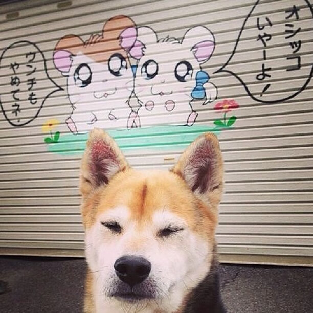 俱乐部年终总结表彰，表彰优秀球员和教练，优秀俱乐部评选资料