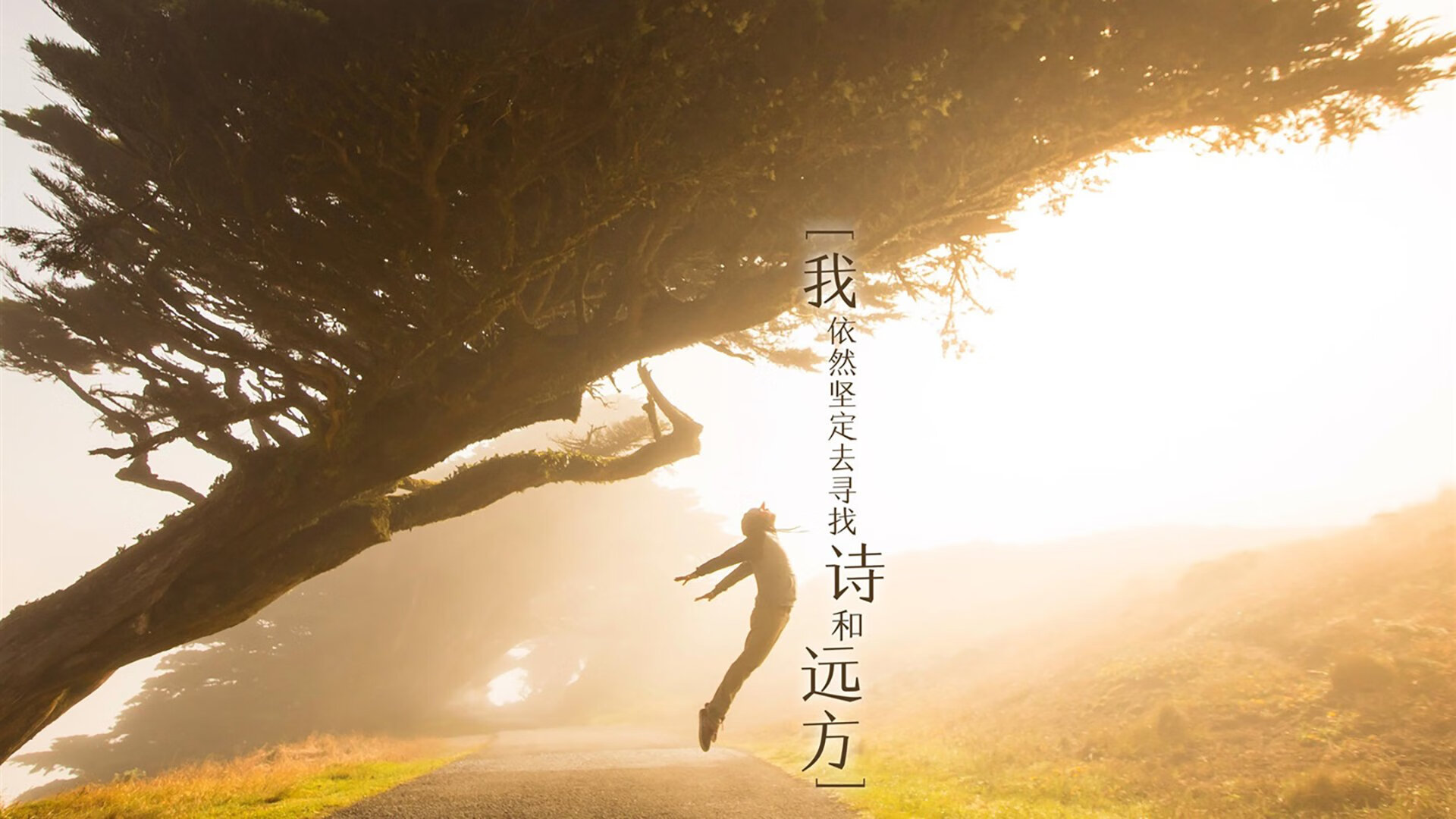 德甲争冠激战：节奏快、技巧高，场面火热，德甲打法