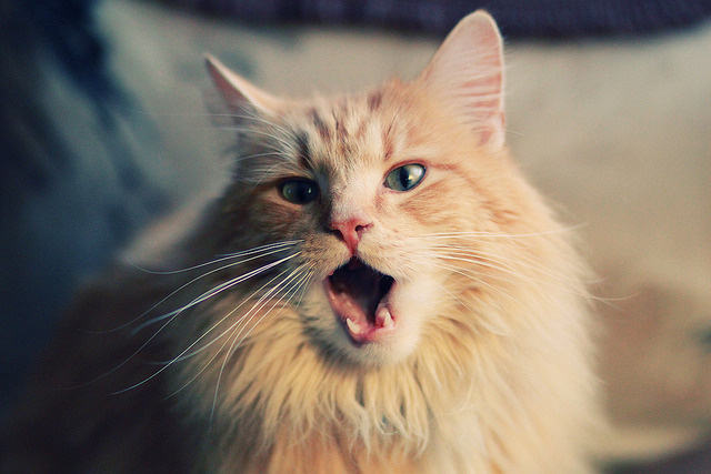 斯滕伯根技术动作精准流畅,斯滕伯格作品