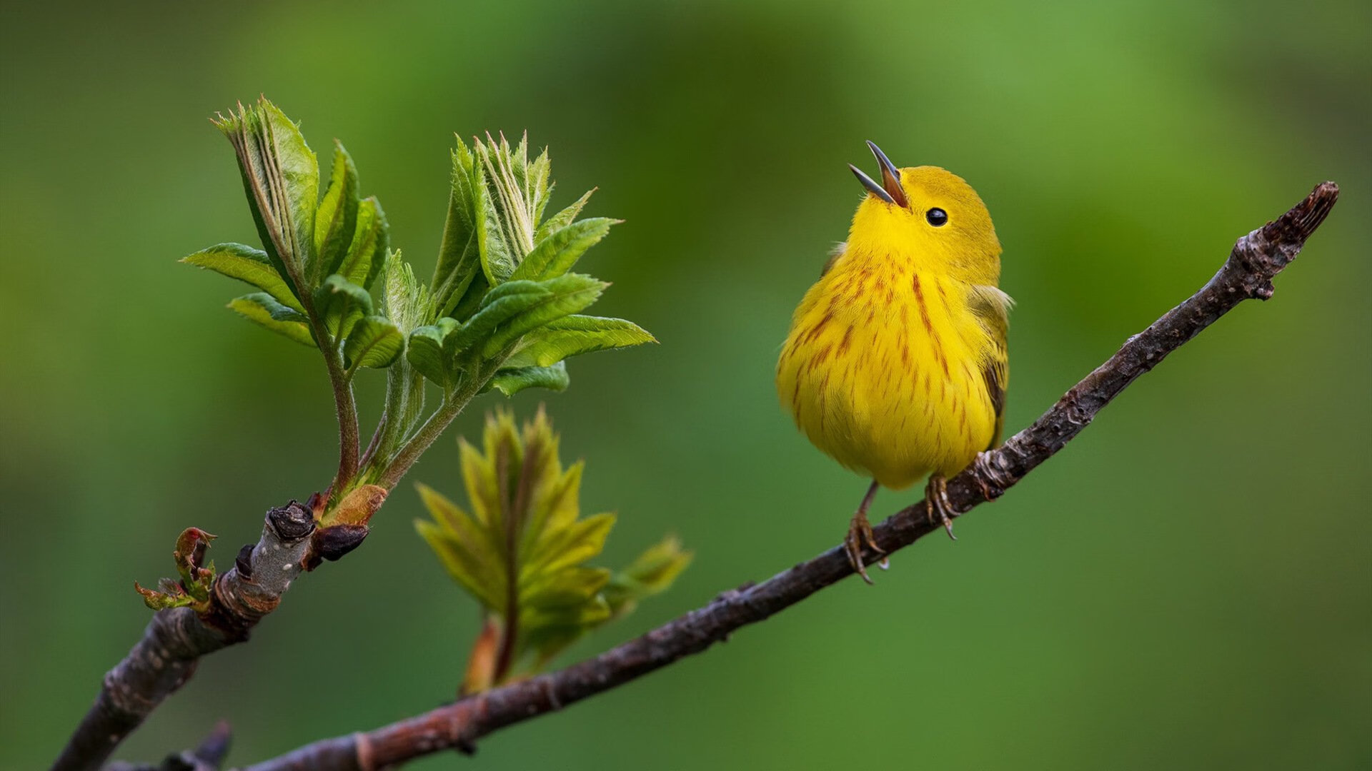 曹缘赛后分享心路历程与训练细节，曹缘赛后采访