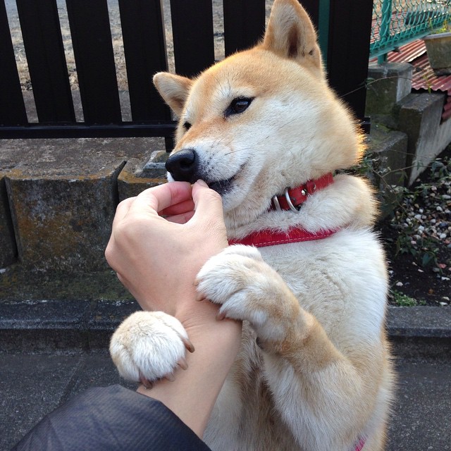 爱游戏在线登录入口-比赛间歇引入即时统计，教练决策更具数据支持，比赛中局间间歇时间是多少秒