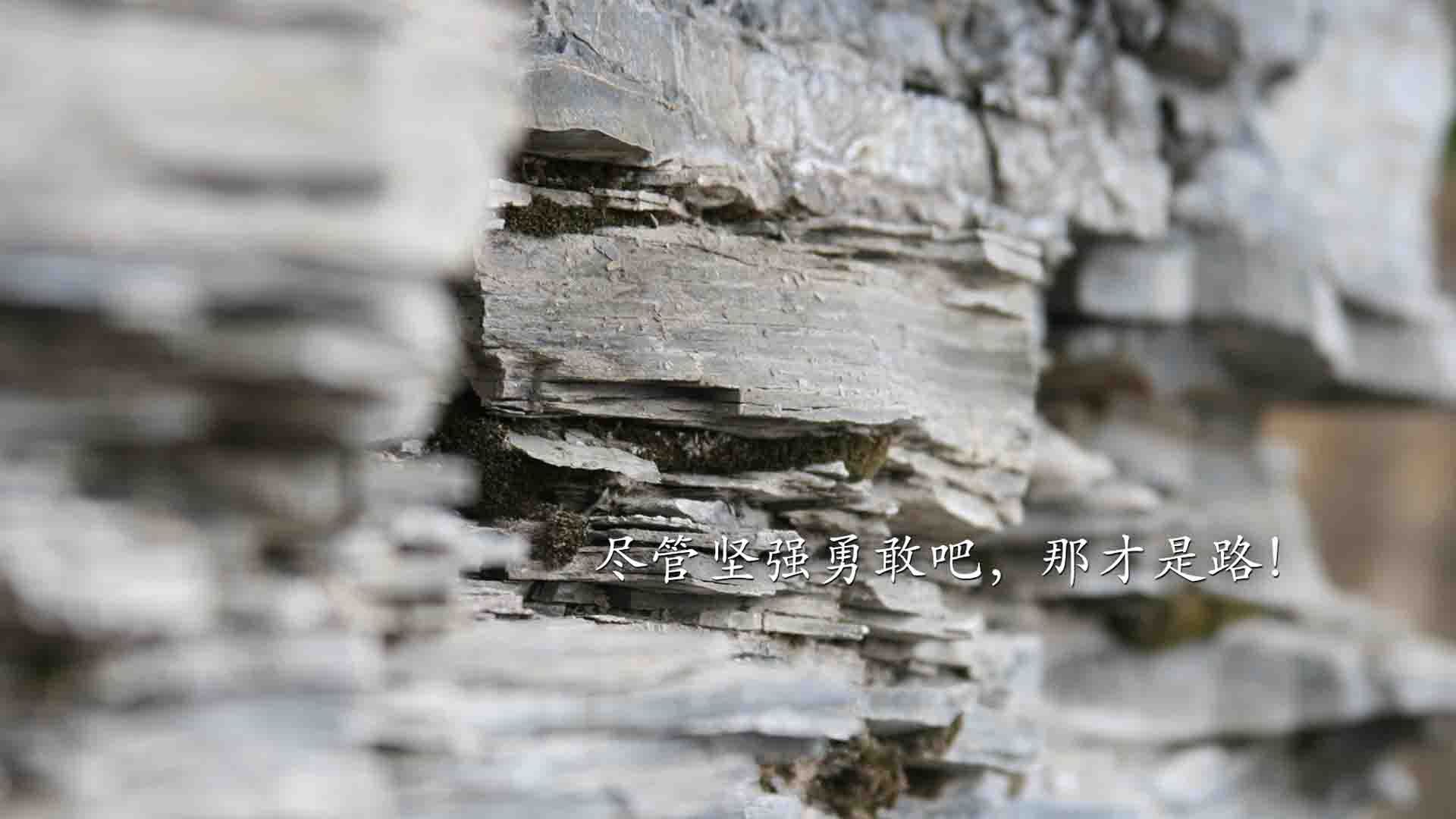 黄蜂安排心理教练定期辅导保持情绪平稳，黄蜂工作室怎么样