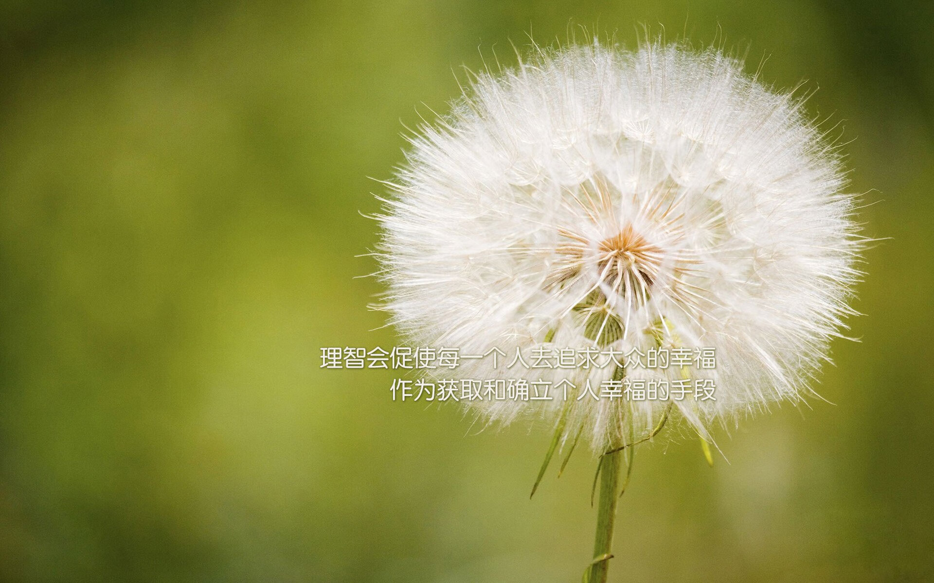 爱游戏下载-FM26正式官宣发售日，存档转移让老玩家激动！，fm2.