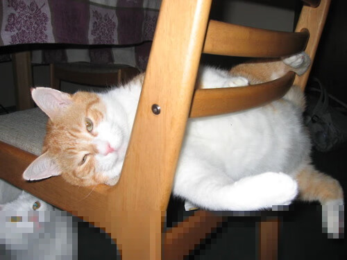 东兴中学学生伤亡,安全管理问题被质疑,2121年东兴中学招生情况